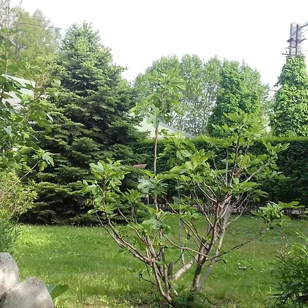 Gasthuis Sorompo Vendeghaz 4*