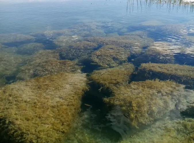 Affittacamere Sorompó Balatonkenese